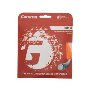 Gamma TNT2